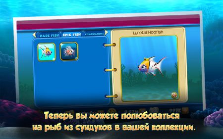 .   / Nemo's Ree