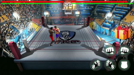 King of Boxing(3D)