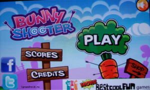 Обзор игры Bunny Shooter