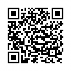 QR-код Retired Wizard Story